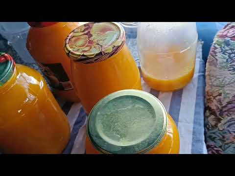 Видео: Это вкуснятина!Сок пюре из тыквы с яблоками!