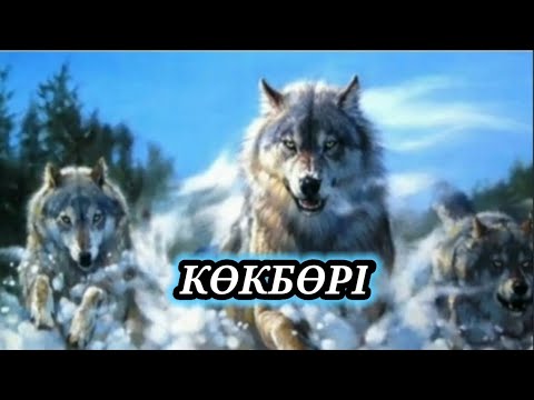 Видео: Көкбөрі//аудиокітап