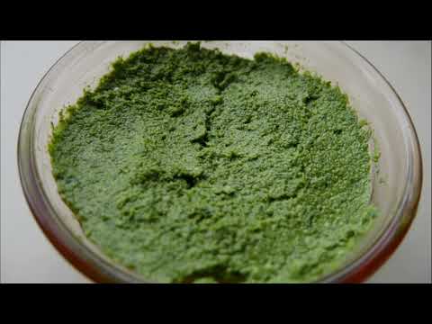 Видео: МАГДАНОЗЕНО ПЕСТО - Лесна разядка и подправка