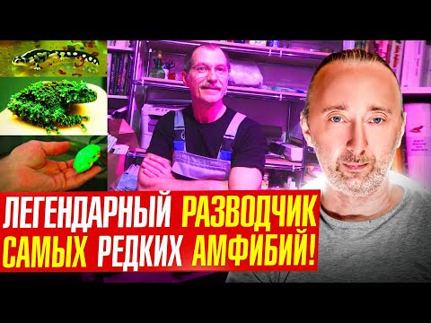Видео: Е.М. Рыбалтовский: Почему я не развожу массовые виды амфибий?