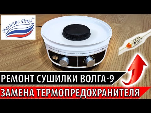 Видео: Сушилка для овощей не греет. Не работает сушилка для овощей и фруктов. Великие Реки (Волга-9)