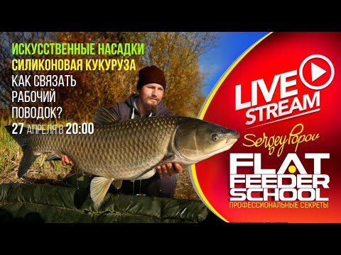 Видео: Искусственная кукуруза / Как связать поводок? / #12 Лекция / FLAT FEEDER SCHOOL