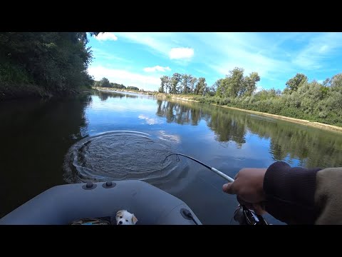 Видео: Спиннинг в Бублик! Пошли Трофеи На Спиннинг. Ловля Щуки в Сентябре