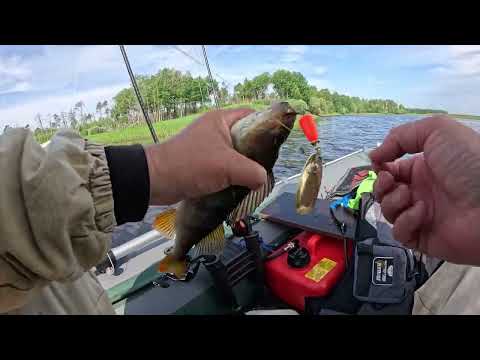 Видео: Спиннинг , рыбалка , удачно и просто , 13 июля 2025 года