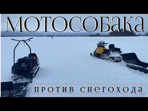 Видео: Мотобуксировщик для глубокого снега. Тонем в слуде!  Мотобуксировщик против снегохода.