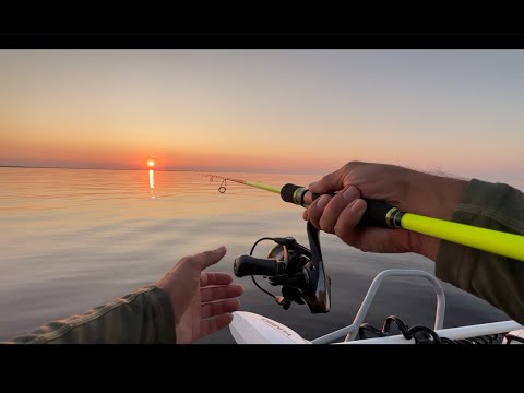 Видео: 🎣Рыбалка! Судак на Волхове! Окунь за Ладогой! 29.07.25