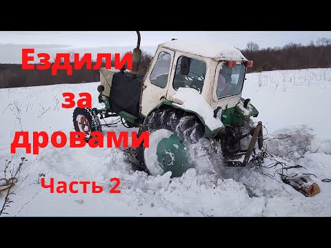 Видео: Трактор ЮМЗ.Трелёвка леса.Зимой едем за дровами.Часть2.