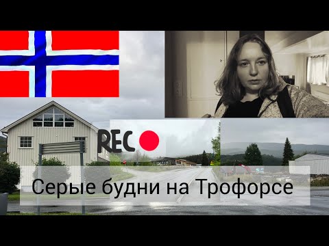 Видео: всех в топку норвежцам роботов домохозяек 🇧🇻