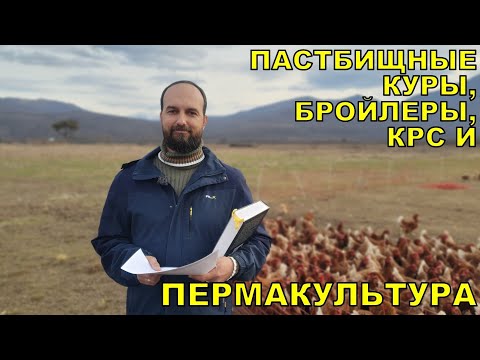 Видео: Пастбищные куры, бройлеры, КРС и Пермакультура в РАЙАР