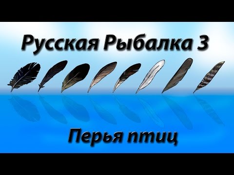 Видео: Русская Рыбалка 3.99 Перья