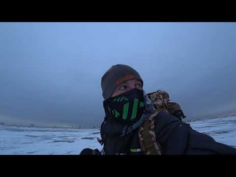 Видео: НОЧНАЯ РЫБАЛКА С КОМФОРТОМ НА ФИНСКОМ ЗАЛИВЕ, ТАКОГО КЛЕВА НЕ БЫЛО НИКОГДА!