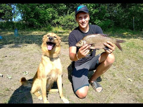 Видео: Фидерная рыбалка с ночевкой на леща на водохранилище! Словил зачетного леща ночью!