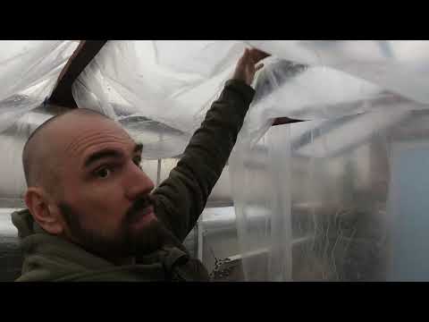 Видео: Ноябрь.  Новая зараза в Подземной теплице.