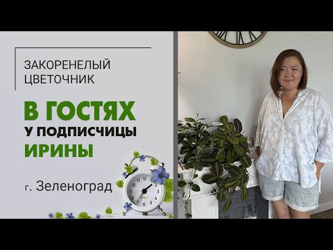 Видео: В гостях у Ирины г. Зеленоград. Неожиданный любимец, гигант декабрист, фитостена и женское счастье.