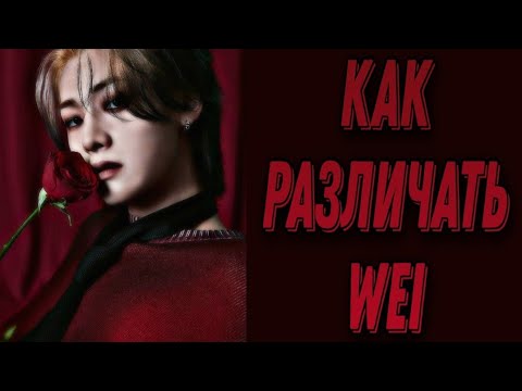 Видео: Учим группу Wei/ Как различать Wei/ Знакомство с Wei | Kpop Soul