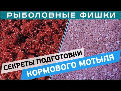 Видео: Как подготовить кормового мотыля к рыбалке?! Рыболовные фишки с Евгением Чертенковым!