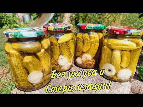 Видео: БЕЗ УКСУСА и СТЕРИЛИЗАЦИИ! Хрустящие огурцы на зиму! Просто и Быстро!