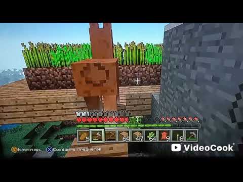 Видео: Моє найперше відео серія 9 (четвертий план з домом та всезагального дому)