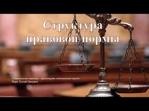 Видео: Как научиться понимать законы. Структура нормы права: гипотеза, диспозиция, санкция