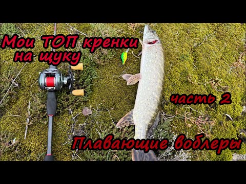 Видео: "Мои ТОП кренки для щуки: Почему выбираю плавающие воблеры? Часть 2"