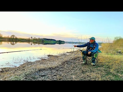 Видео: ФИДЕР . СИНЕЦ .(Сопа) . ЛЕЩ . Река Волхов . Рыбалка с палаткой и ночевкой . Рыбалка на Фидер.