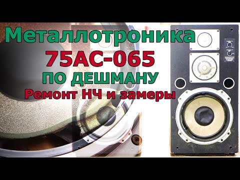 Видео: Электроника 75АС-065 по дешману. Ремонт НЧ динамика, измерения Тиля-Смолла, АЧХ и расчёты.