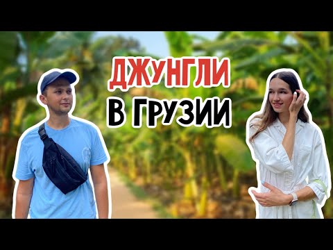 Видео: БАНАНОВАЯ РОЩА В БАТУМИ || ПЕШКОМ ПО ТРАССЕ