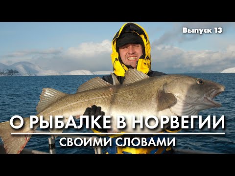 Видео: Рыбалка в Норвегии Гигантские джиг головки Royber