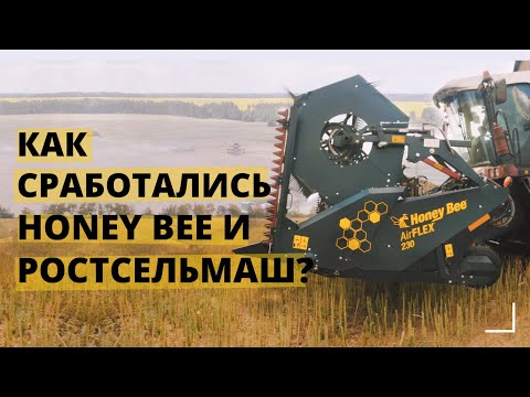 Видео: Уборка рапса: жатка Honey Bee и комбайн Ростсельмаш