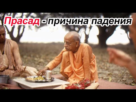 Видео: КРИШНА ПРАСАД. МОЖЕТ СТАТЬ ПРИЧИНОЙ ПАДЕНИЯ ДЖИВЫ.