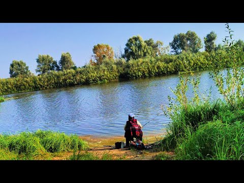 Видео: Один день в Сентябре. #Боровица.