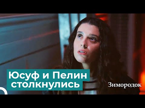 Видео: Ты тот Юсуф, который был с Сейран? | Зимородок 7 Cерия