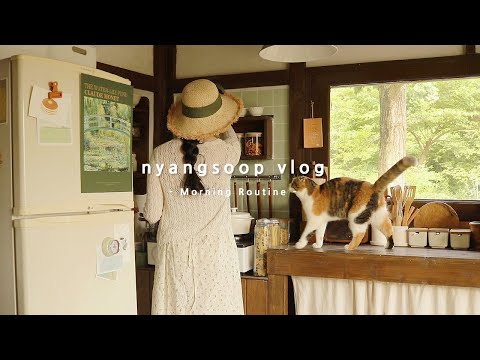 Видео: Раннее летнее утро в доме в лесу, Летнее утро Routine ☀