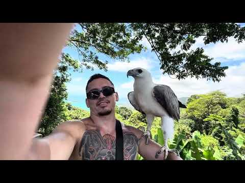 Видео: Пляжи Таиланда в низкий сезон 🌴 Жизнь на Пхукете 2025 | Работа удалённо