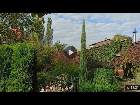 Видео: Прогулка болталка по саду 16.09.25.  Малоуходный сад. Моя ситуация и позиция.