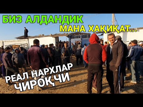 Видео: МАНА ХАҚИҚАТ... РЕАЛ НАРХЛАР. ЧИРОҚЧИ ЧОРШАНБЕ МОЛ БОЗОРИ. 29-ОКТАБР. ҚАШҚАДАРЁ. 2025