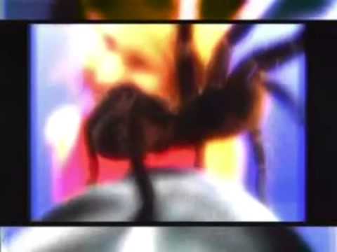 Видео: Миленита и Пирани - Моногамни (official video)