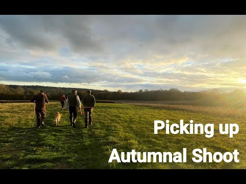 Видео: Осенний день. Взбивание и собирание.