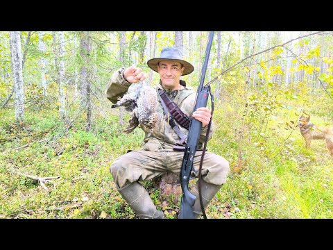 Видео: ОХОТА НА РЯБЧИКА С ТУРЕЦКОЙ АТА НЕО Х / ОТКРЫЛ СЕЗОН УДАЧНО / СОБАКА ЧИПА С УМА СХОДИТ ПО ПТИЦЕ.