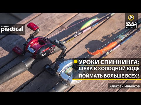 Видео: Уроки спиннинга: щука в холодной воде. Поймать больше всех! Алексей Ивашков. Anglers Practical
