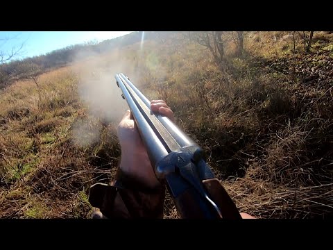 Видео: Загонная ОХОТА. УЖАС! 6 ноября 2022г.