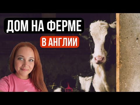 Видео: Рум-тур домика на ферме в Англии