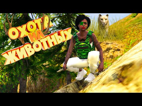 Видео: ОХОТА НА ЖИВОТНЫХ и ЧУЖИЕ КОШЕЛЬКИ. Majestic RP | GTA 5