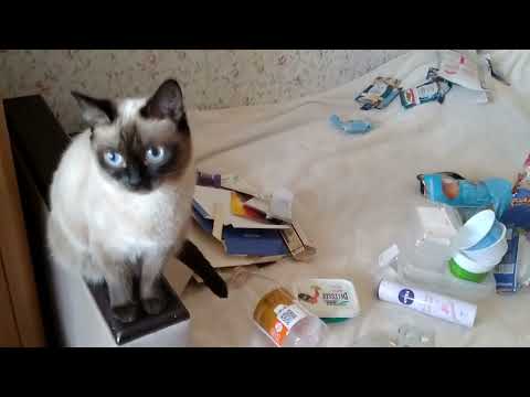 Видео: 30 день. Марафон расхламления  465 вещей за 30 дней. ОКОНЧАНИЕ. Продолжение следует