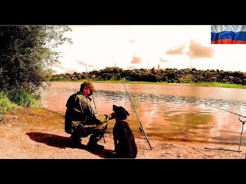 Видео: Рыбалка. Двое Суток на Реке. Рыба в Садке, Мясо в Казане, Фина не в Себе, Приветы вам и Быть Добру!