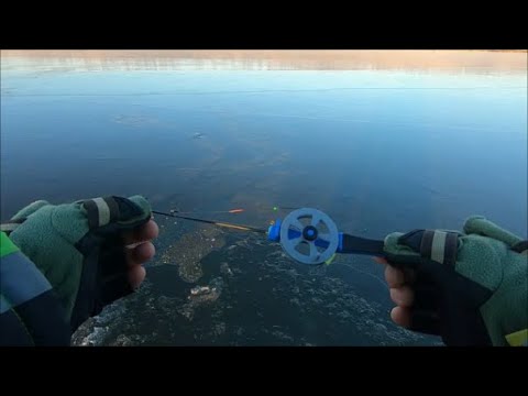 Видео: Осваиваем безмотылку!Поклёвки на гвоздешарик!Открытие льда 2021!