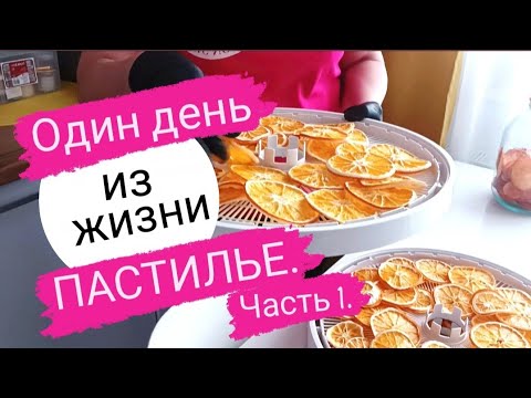 Видео: Один день с пастилье. Часть 1. Хранение пастилы и фрипсов.
