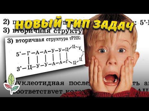 Видео: Вторичная структура тРНК (№28) на ЕГЭ по биологии