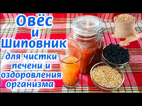 Видео: ПРОВЕРЕННЫЙ РЕЦЕПТ! ОВЁС ДЛЯ ЧИСТКИ ПЕЧЕНИ! Как ПРАВИЛЬНО сделать НАСТОЙ из ОВСА и ШИПОВНИКА!