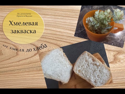 Видео: Хмелевая закваска